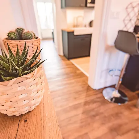 Apartman Charme De L'ancien Pour Cet Entierement Renove Rue Jeanne D'arc Reims